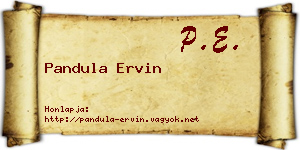 Pandula Ervin névjegykártya