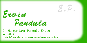 ervin pandula business card